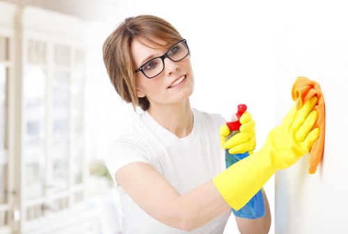 Cleaning process for pet stain odour removal in a Bromley living room