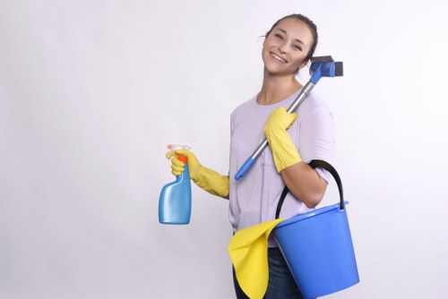 Deep carpet cleaning service in a Bromley living room