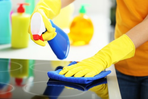 Professional upholstery cleaning equipment in a Bromley home
