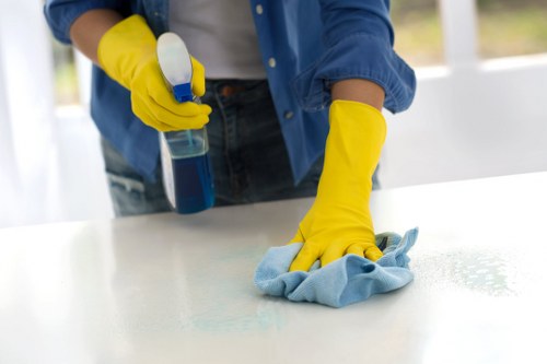 Steam cleaning carpets in a Bromley property